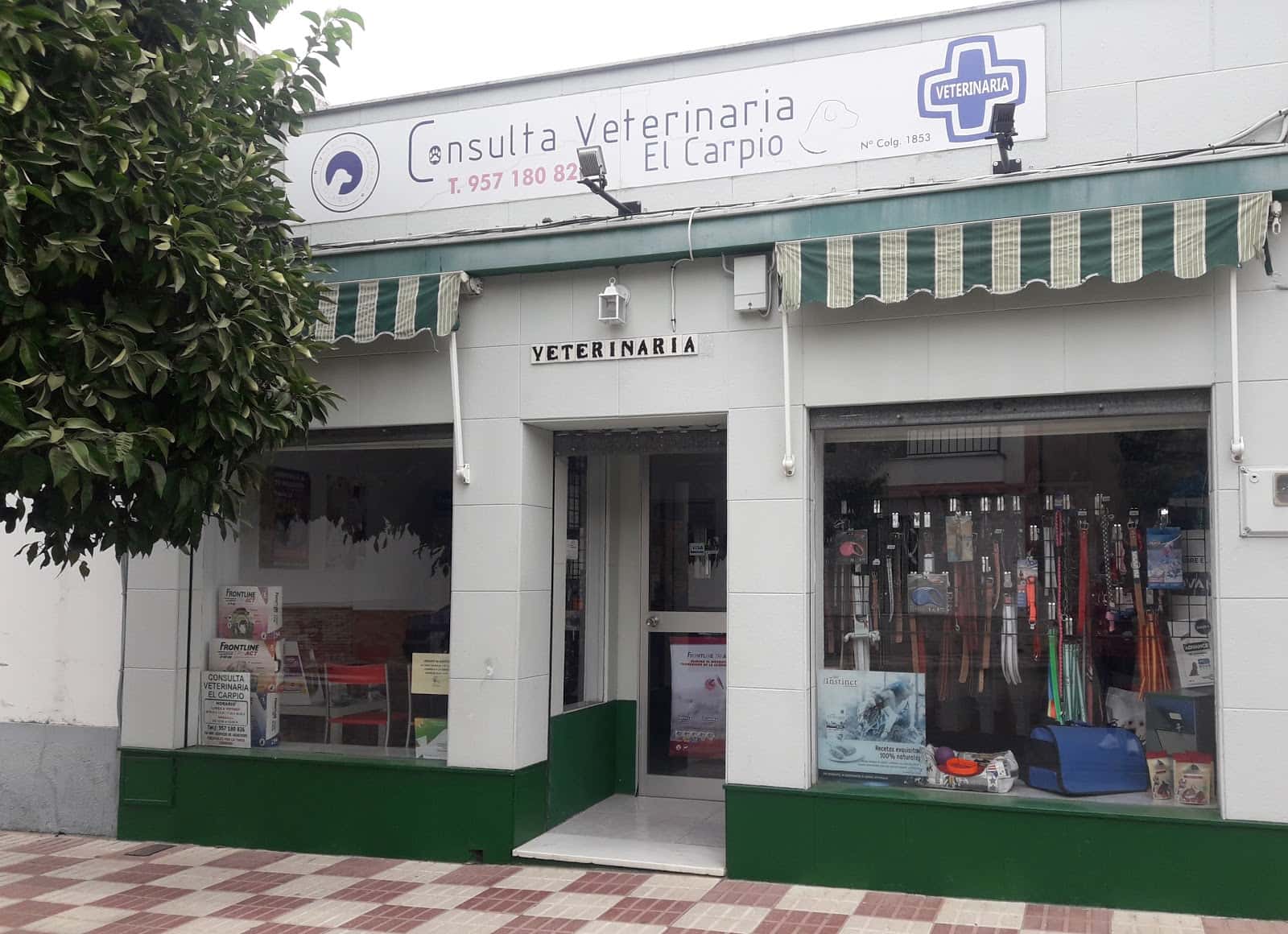 consulta veterinaria el carpio veterinario centro en el carpio en cordoba principalImage ADOPTA Sitios Pet Friendly