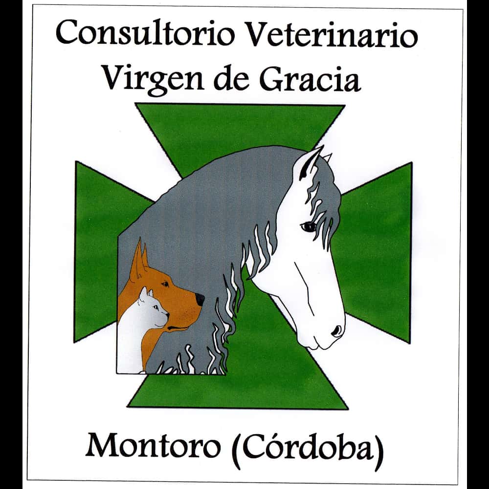 Centro Veterinario Virgen de Gracia. Andrés Luque. Montoro