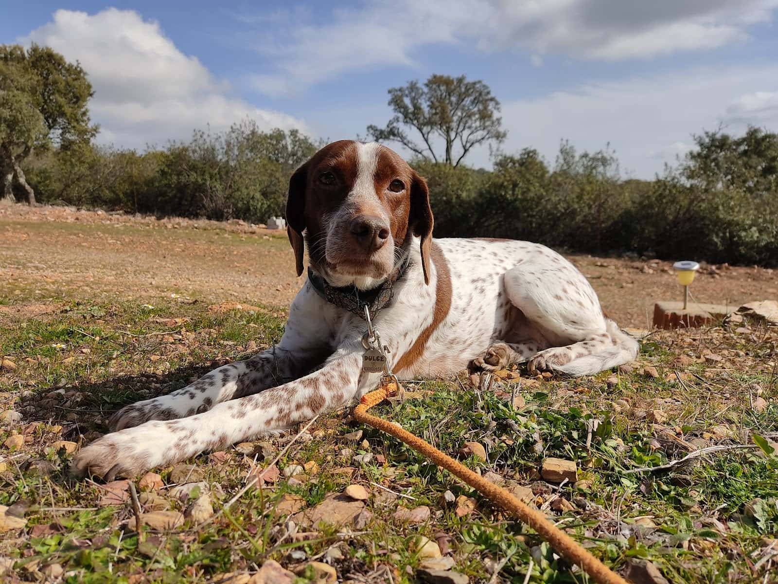 Clínica Veterinaria Pozoblanco