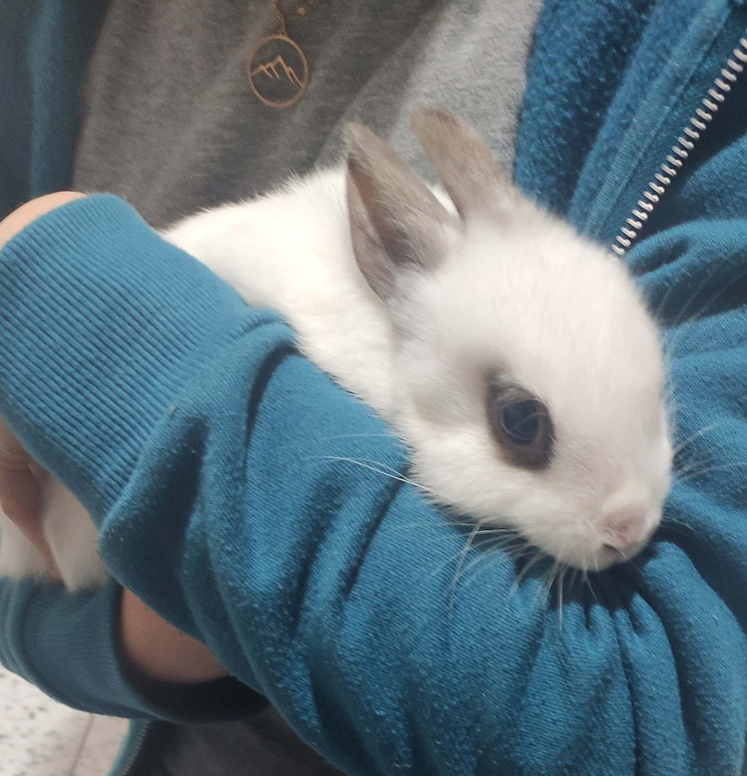 Clínica Veterinaria Pozoblanco