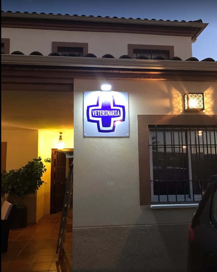 veterinaria encinarejo veterinario centro en encinarejo de cordoba en cordoba principalImage ADOPTA Sitios Pet Friendly