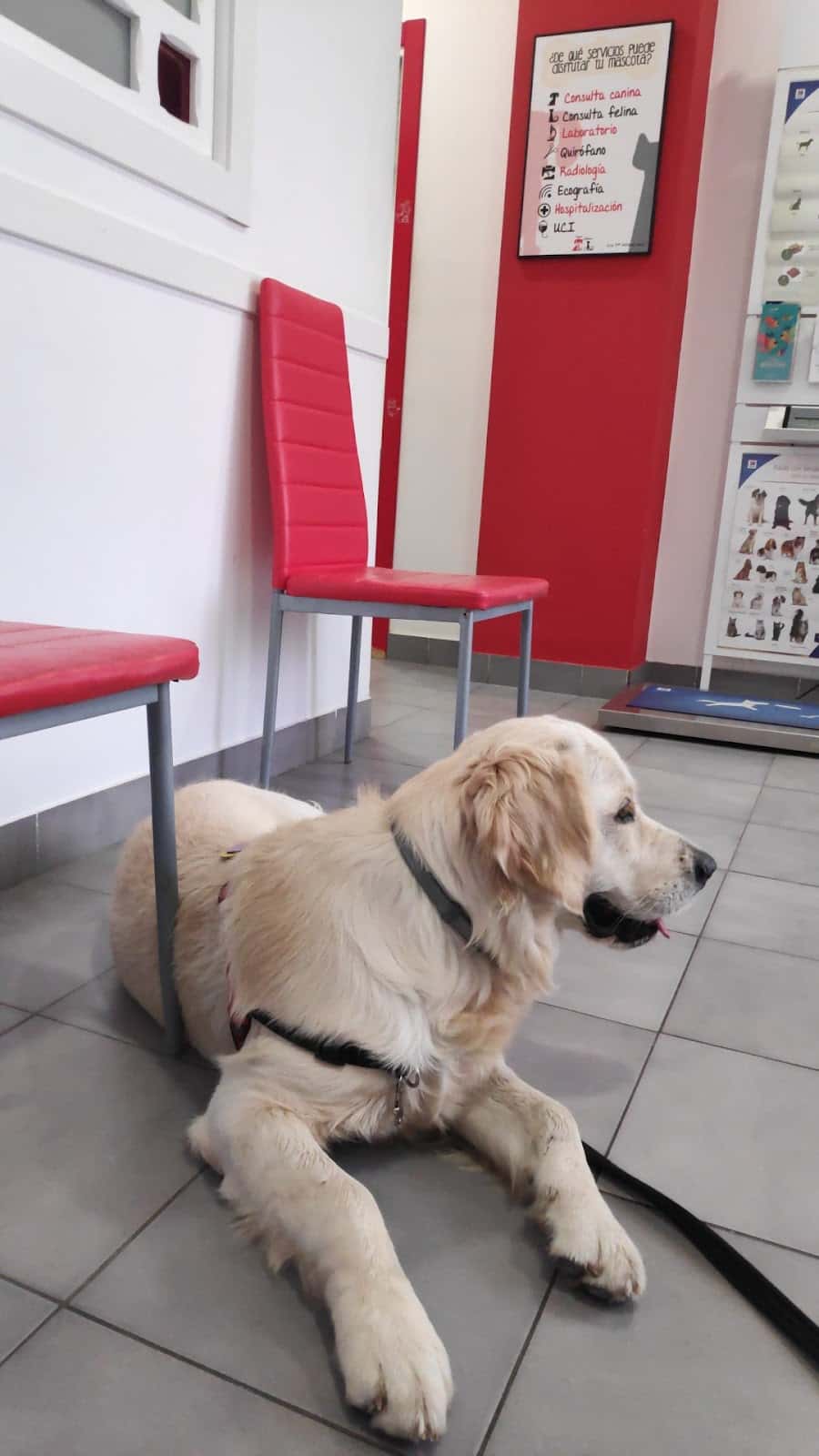 Clínica Veterinaria Tucán