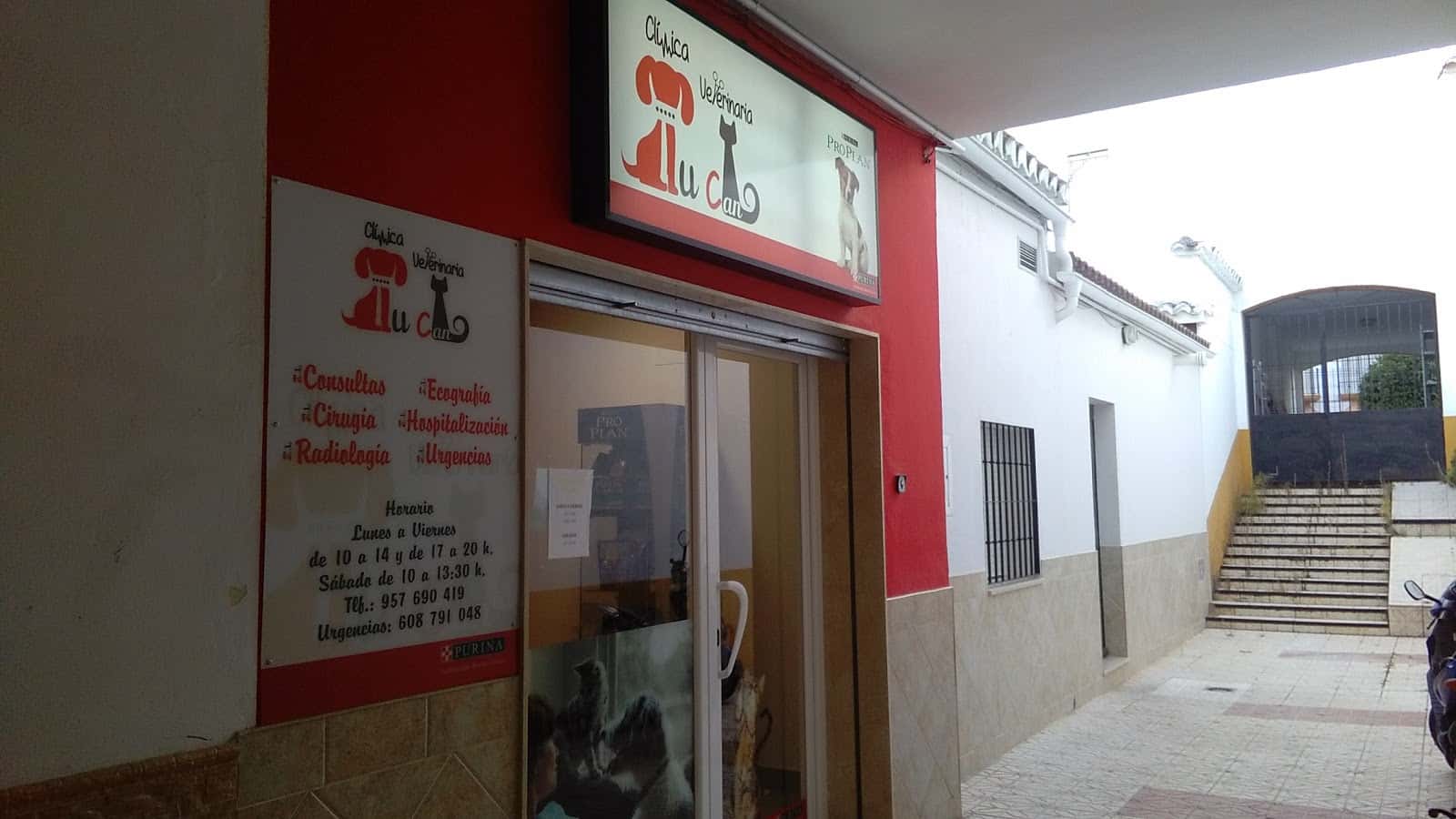 clinica veterinaria tucan veterinario clinica en baena en cordoba principalImage ADOPTA Sitios Pet Friendly