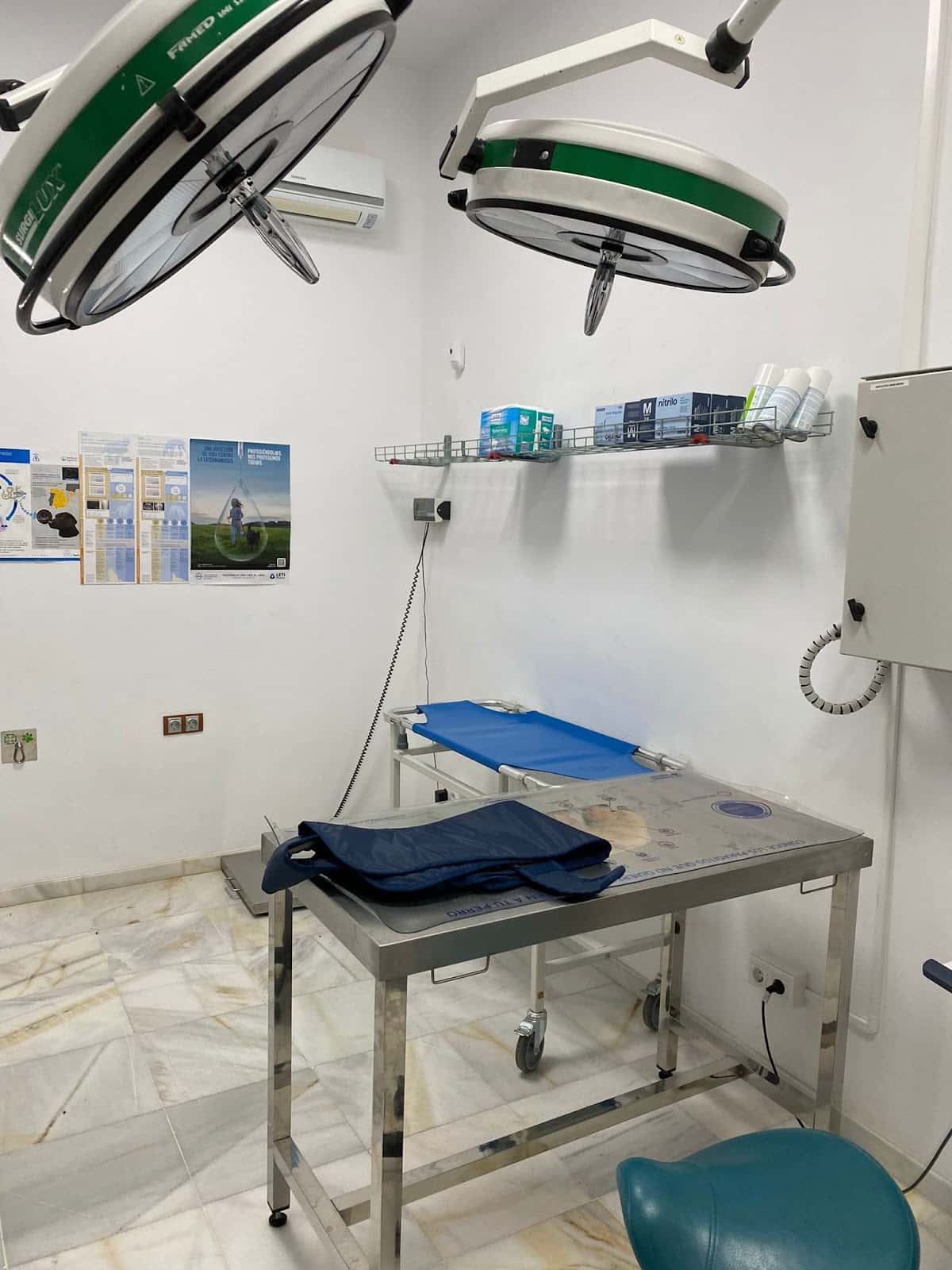 Veterinario Gregorio Ruano // Clinica Falabella