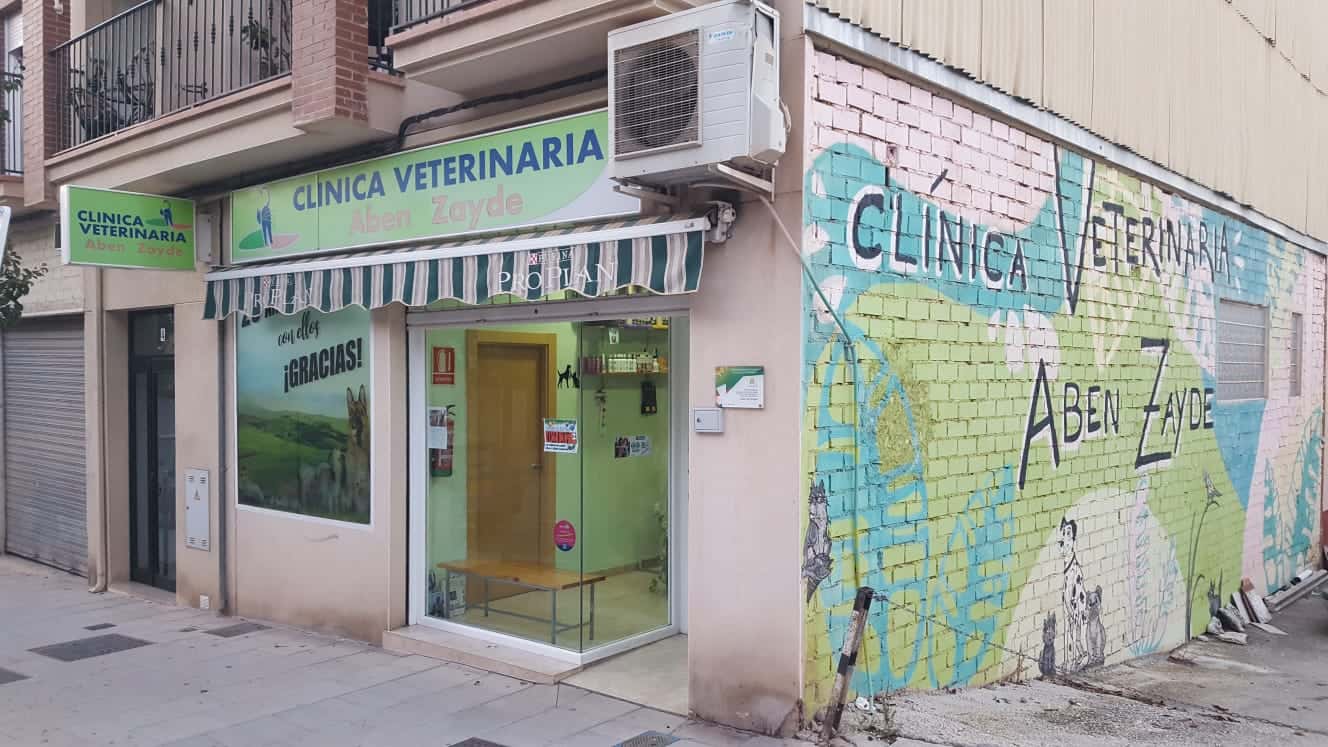 clinica veterinaria aben zayde veterinario clinica en alcala la real en jaen principalImage ADOPTA Sitios Pet Friendly