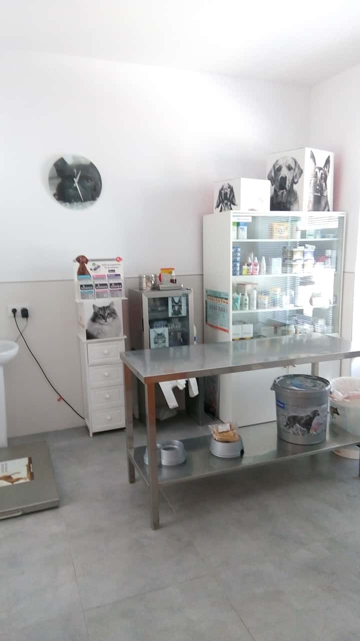 veterinaria laus veterinario centro en nueva carteya en cordoba principalImage ADOPTA Sitios Pet Friendly