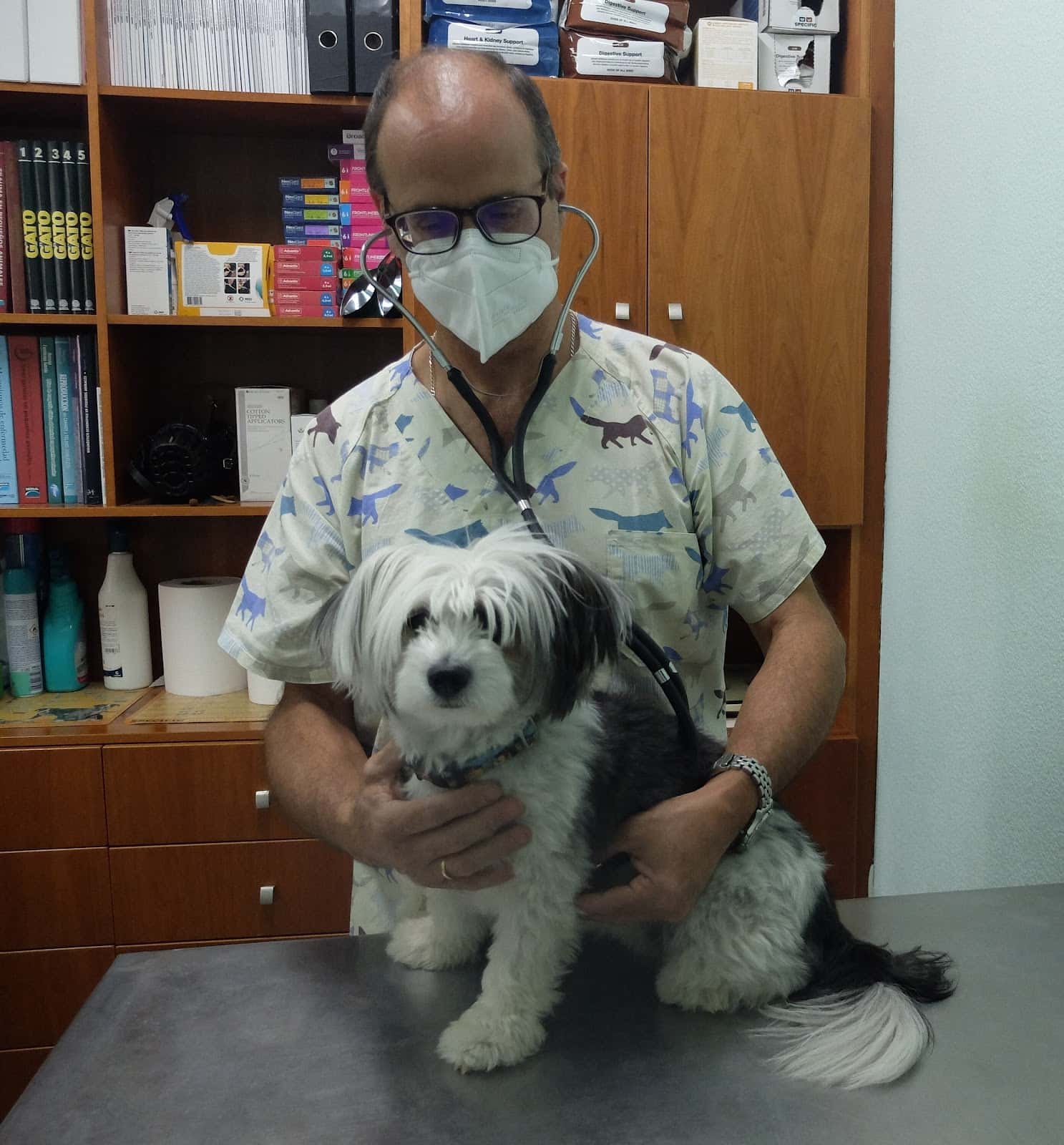 consultorio veterinario baena veterinario centro en baena en cordoba principalImage ADOPTA Sitios Pet Friendly