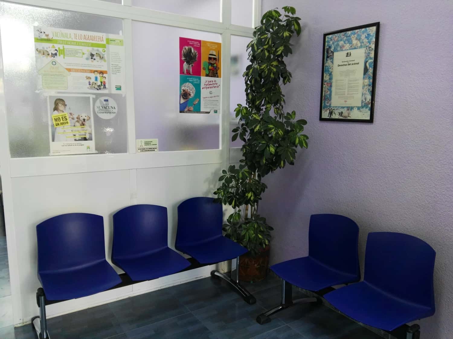 CLINICA VETERINARIA SANTA MARTA