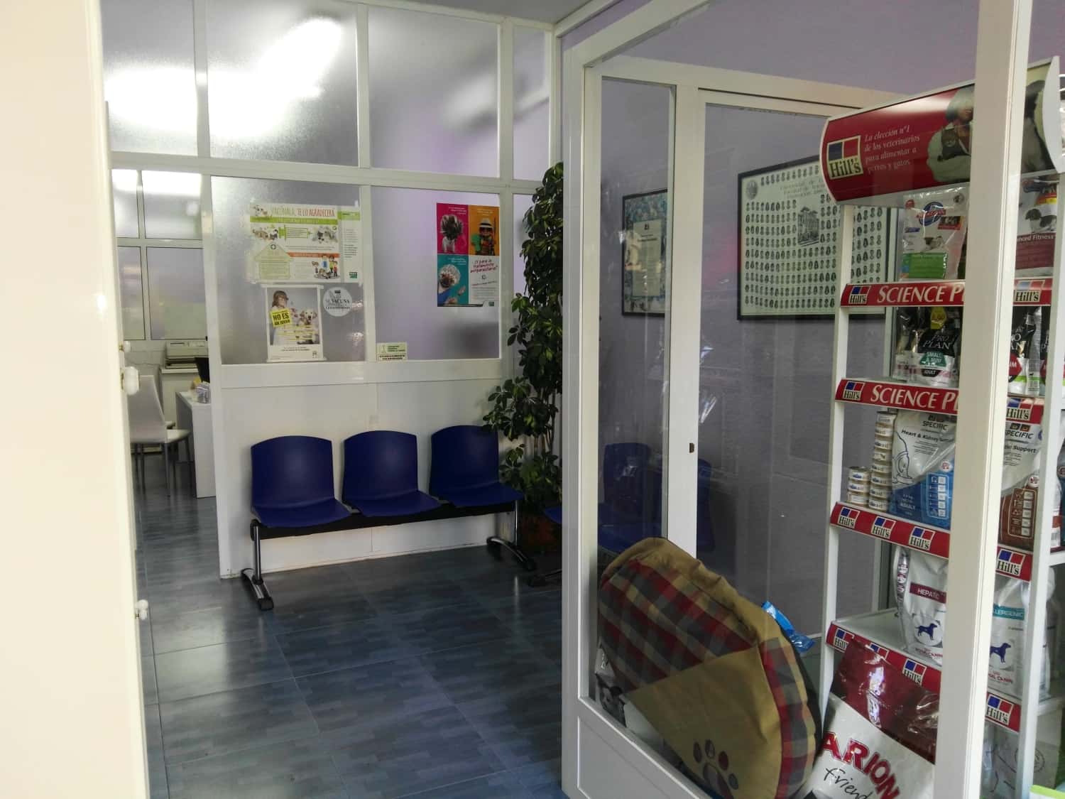 clinica veterinaria santa marta veterinario clinica en lucena en cordoba principalImage ADOPTA Sitios Pet Friendly