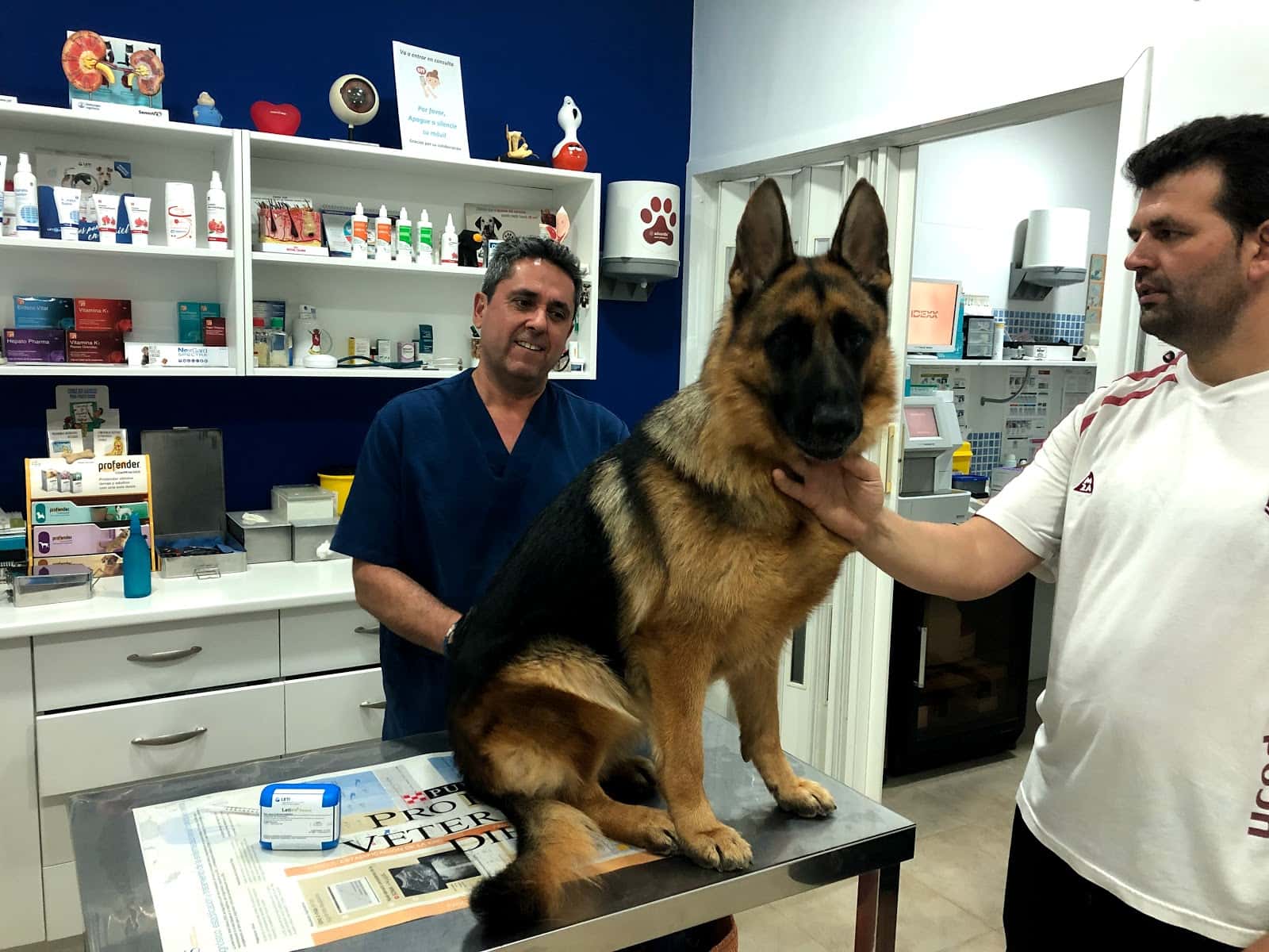 Mascoderm Servicio de Referencia en dermatología canina y felina