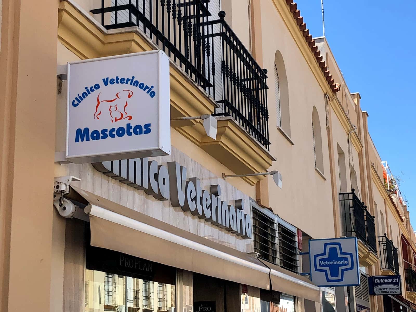 mascoderm servicio de referencia en dermatologia canina y felina veterinario centro de referencia en la carlota en cordoba principalImage ADOPTA Sitios Pet Friendly