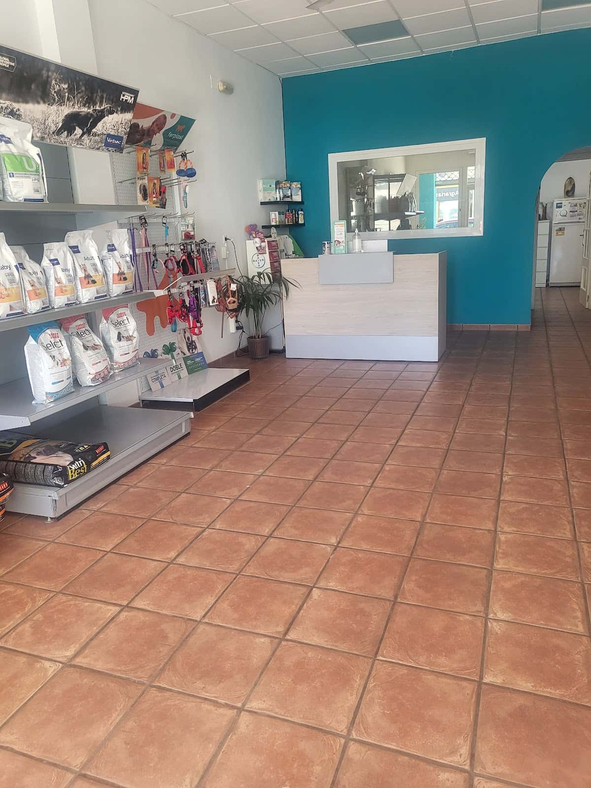 Consulta Veterinaria Pizcos