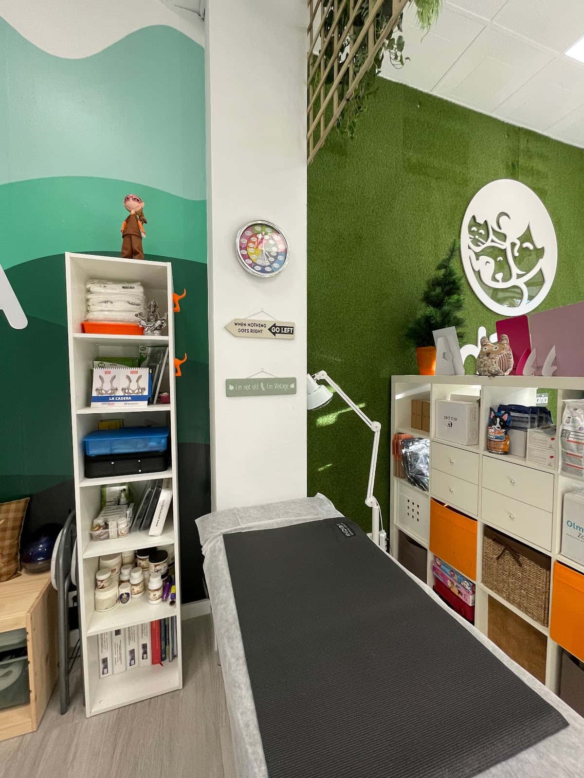 centro veterinario d qi veterinario centro barrio noroeste en cordoba en cordoba principalImage ADOPTA Sitios Pet Friendly