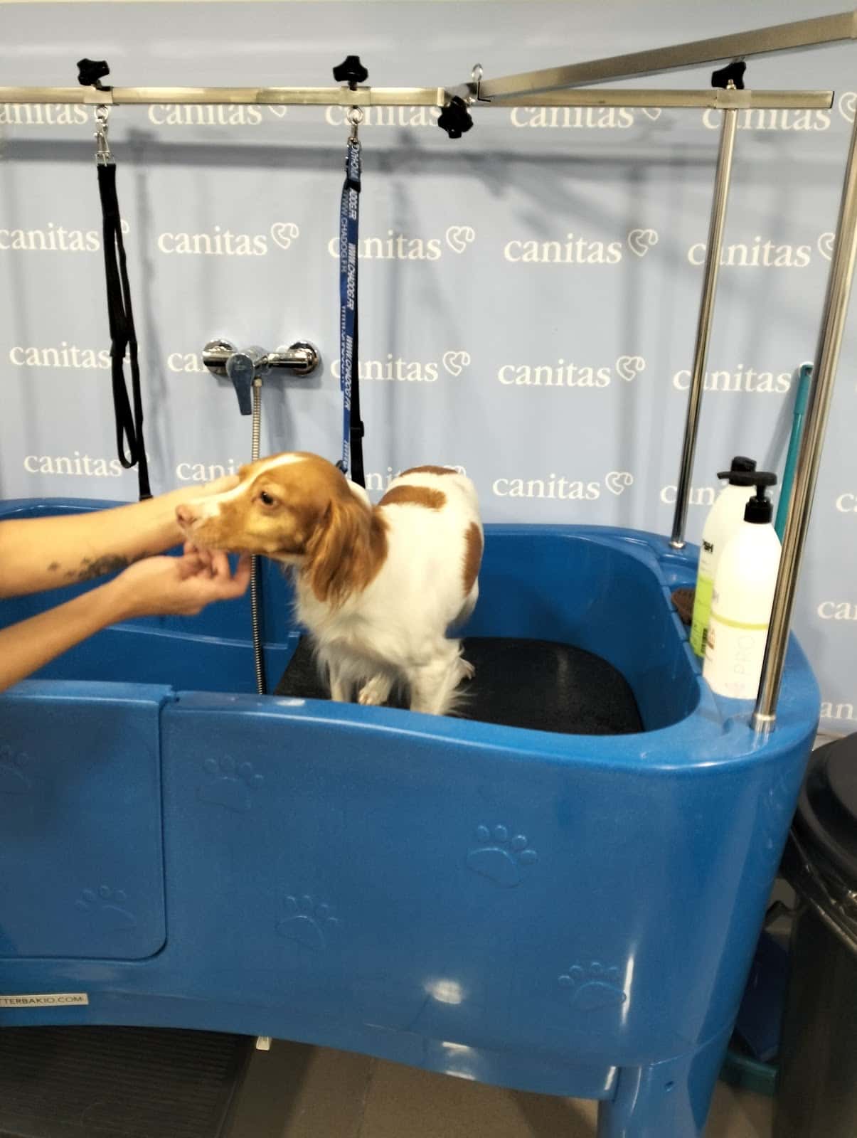 Canitas Veterinaria Córdoba