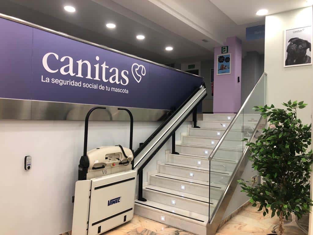 canitas veterinaria cordoba veterinario centro barrio centro en cordoba en cordoba principalImage ADOPTA Sitios Pet Friendly