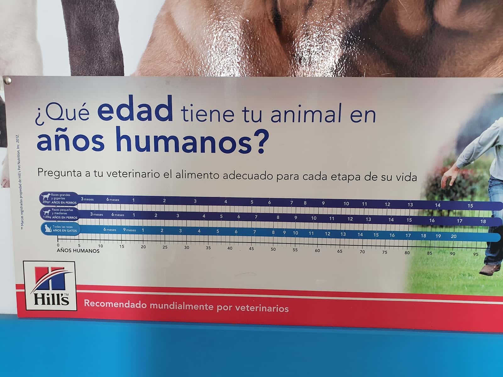 Clinica Veterinaria el Realejo