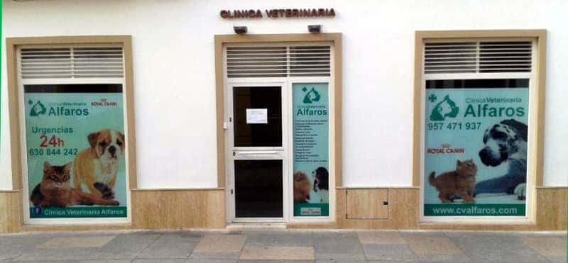 cuidavet espana veterinario centro barrio centro en cordoba en cordoba principalImage ADOPTA Sitios Pet Friendly
