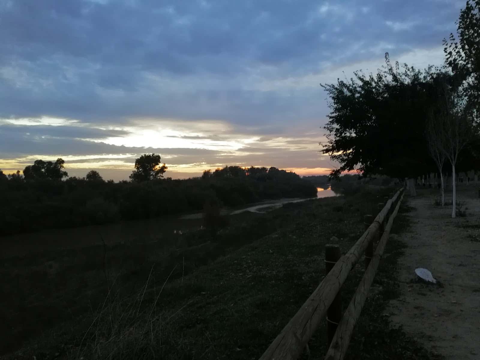 Centro Veterinario CANNIS