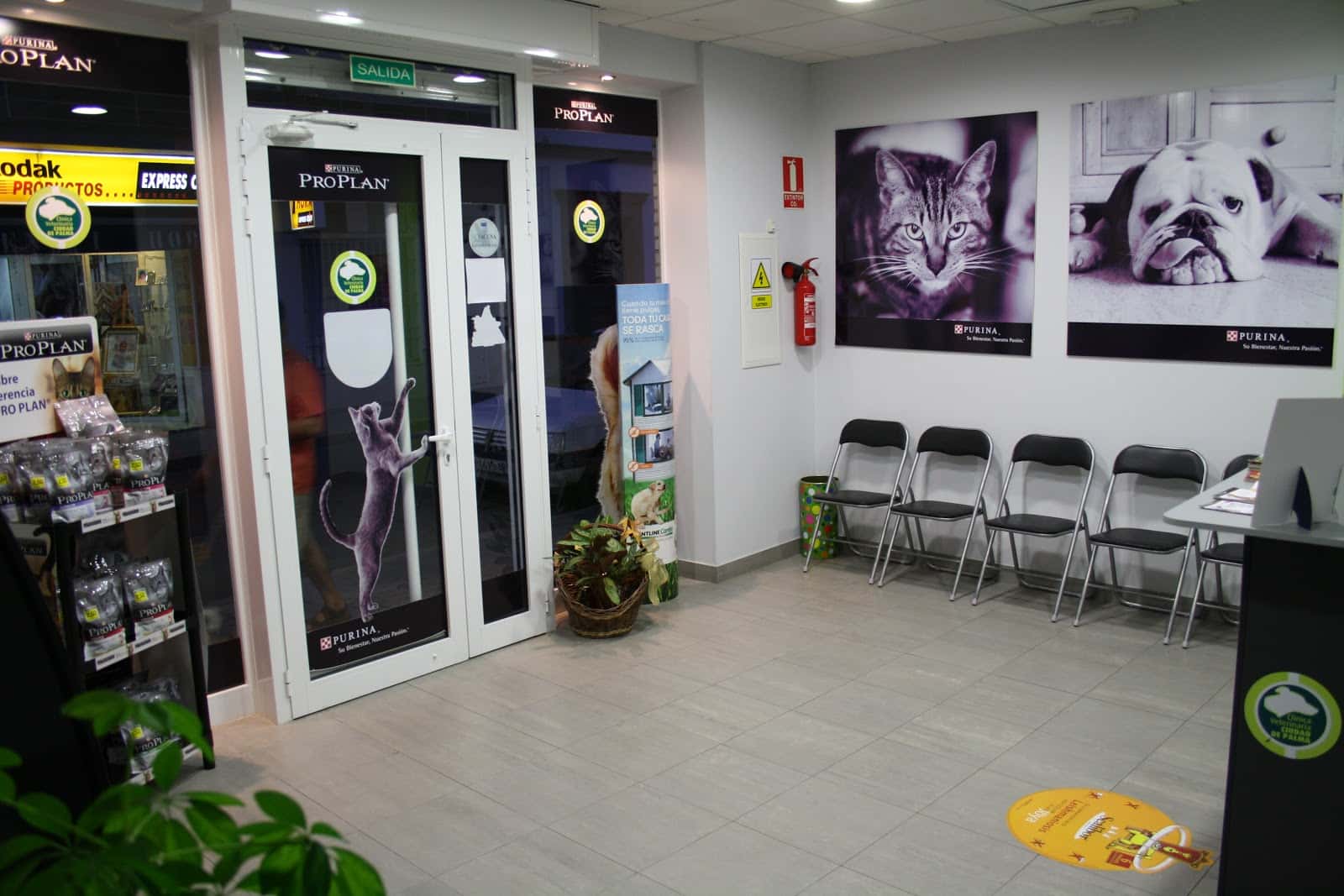 centro veterinario ciudad de palma veterinario centro en palma del rio en cordoba principalImage ADOPTA Sitios Pet Friendly