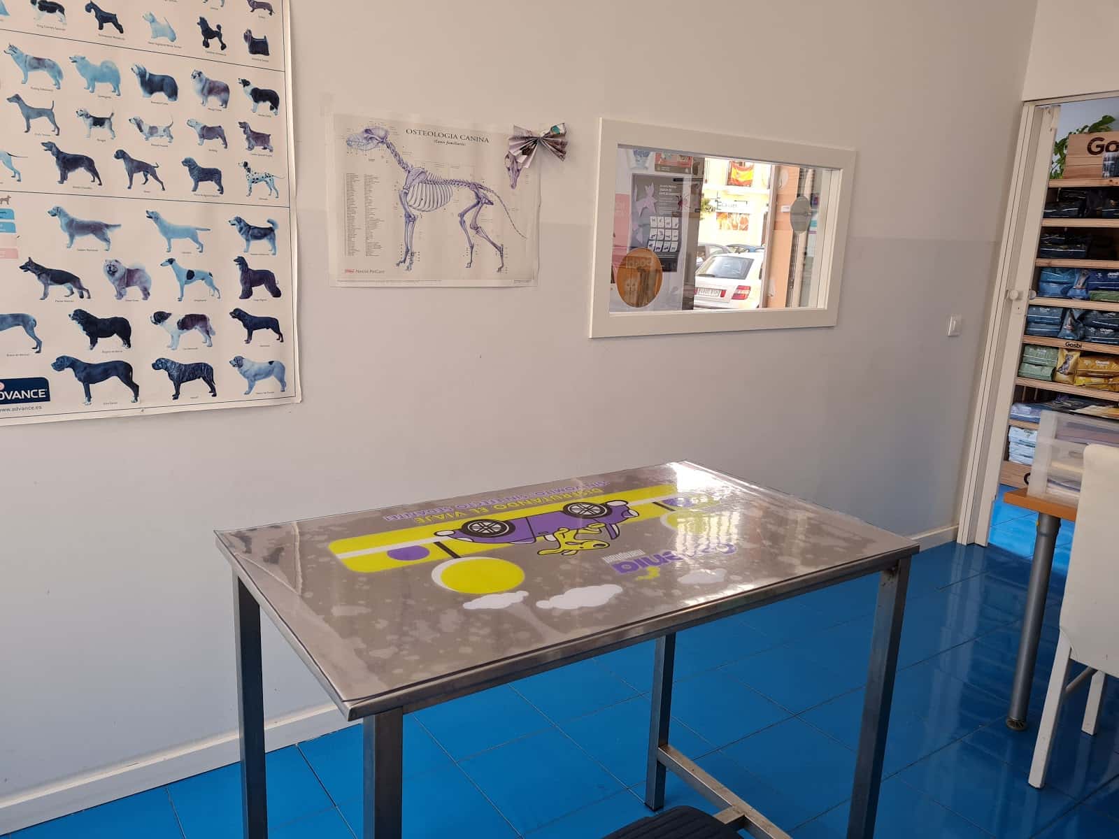 Centro Veterinario Santa Ana