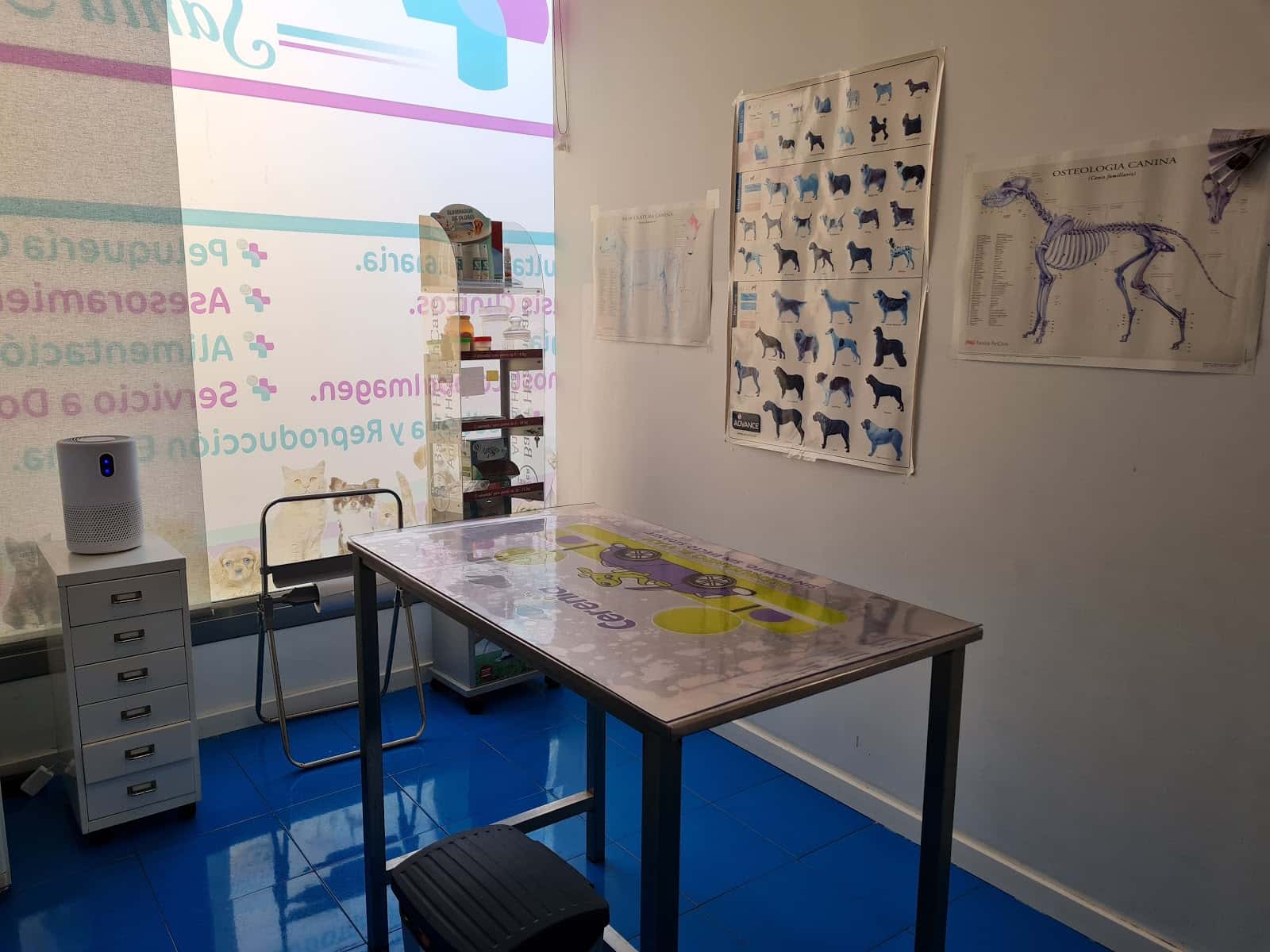 Centro Veterinario Santa Ana