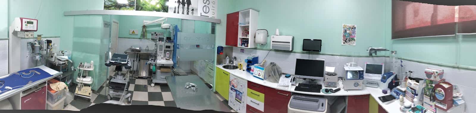 Teseo Veterinarios | Clínica veterinaria en Córdoba