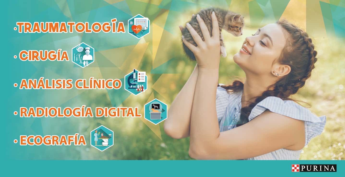 Teseo Veterinarios | Clínica veterinaria en Córdoba