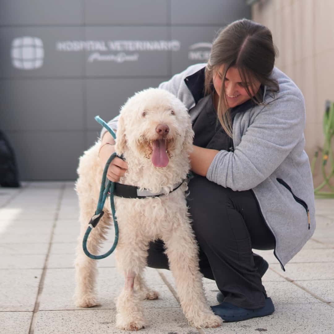 Hospital Veterinario Puente Genil