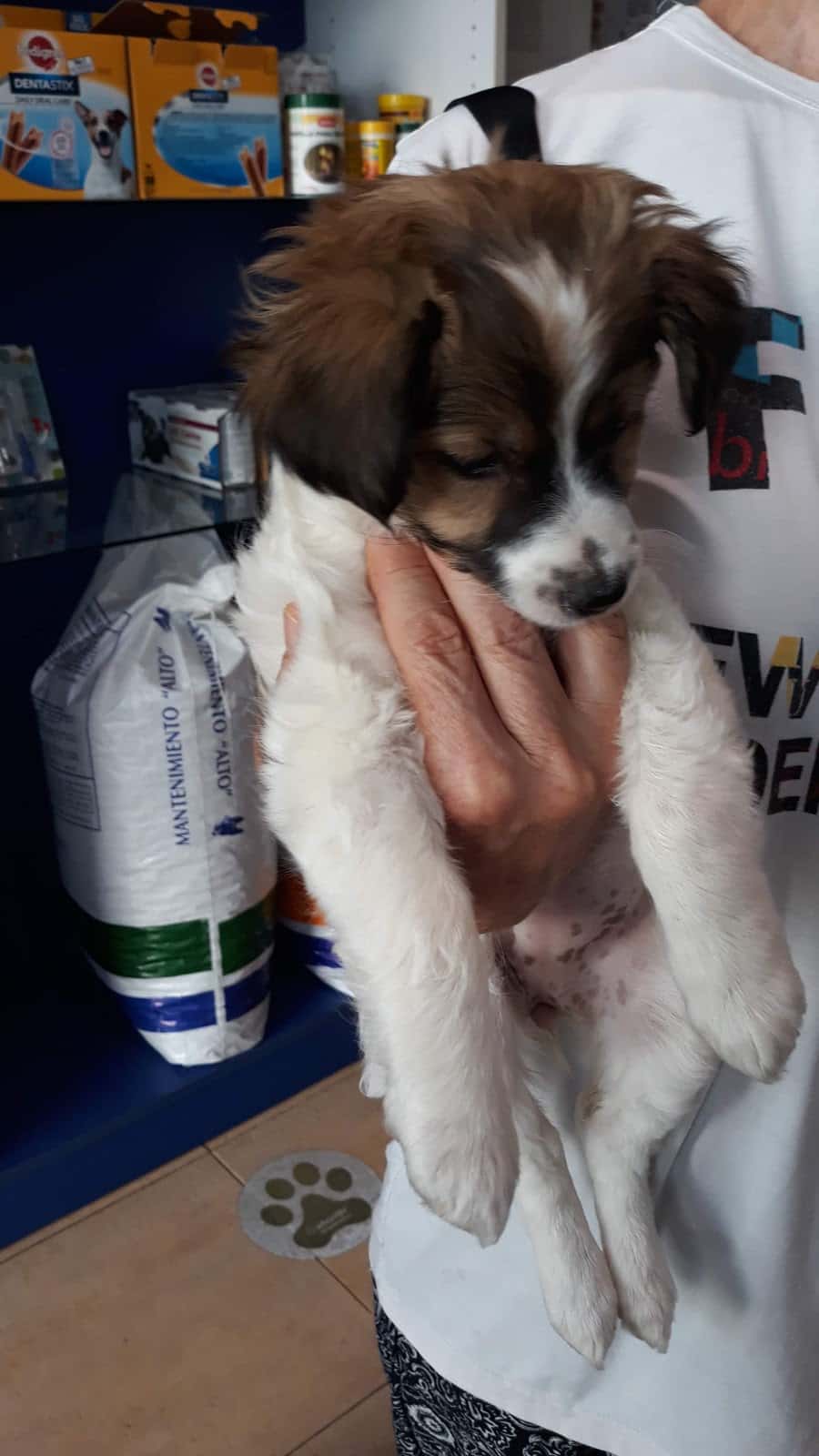 Centro Veterinario Espiel