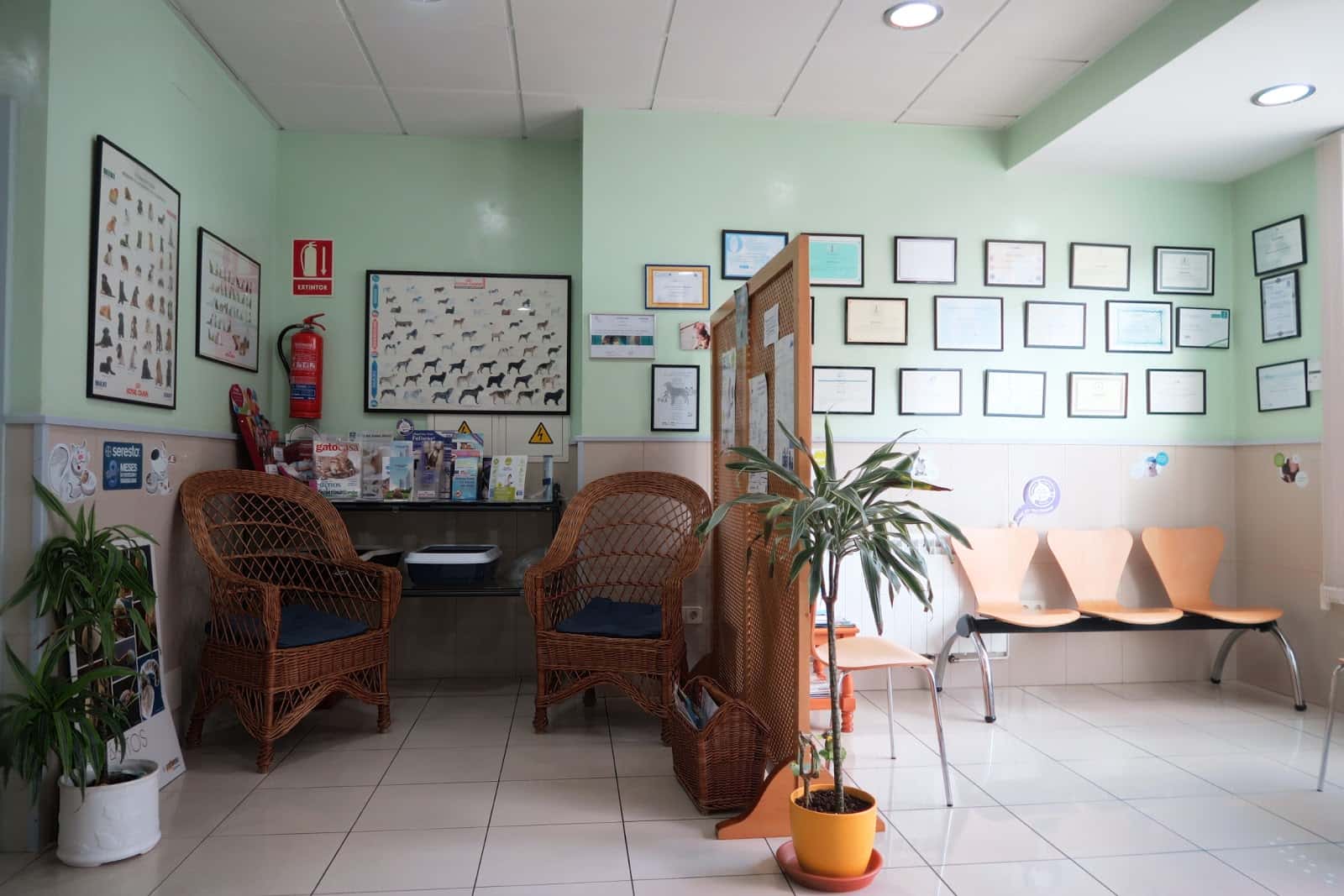 Clinica Veterinaria Melide