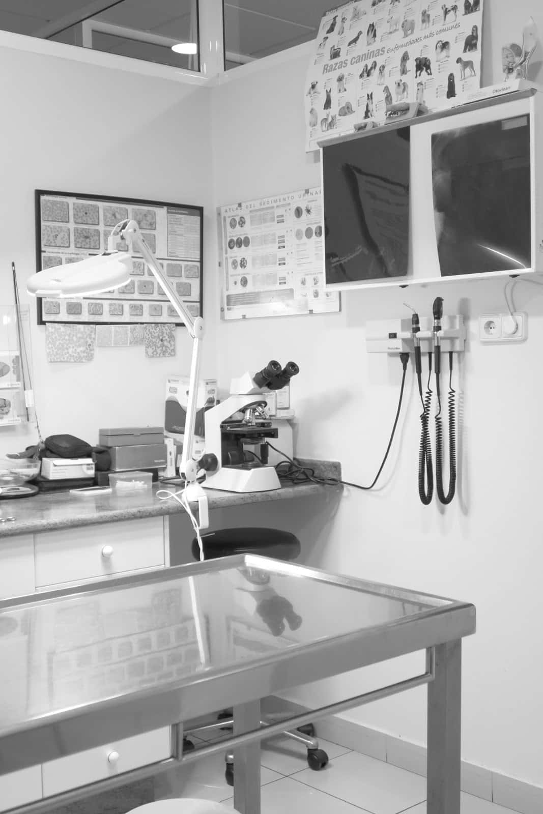 Clinica Veterinaria Melide