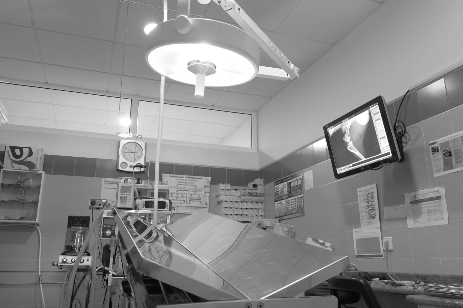 Clinica Veterinaria Melide