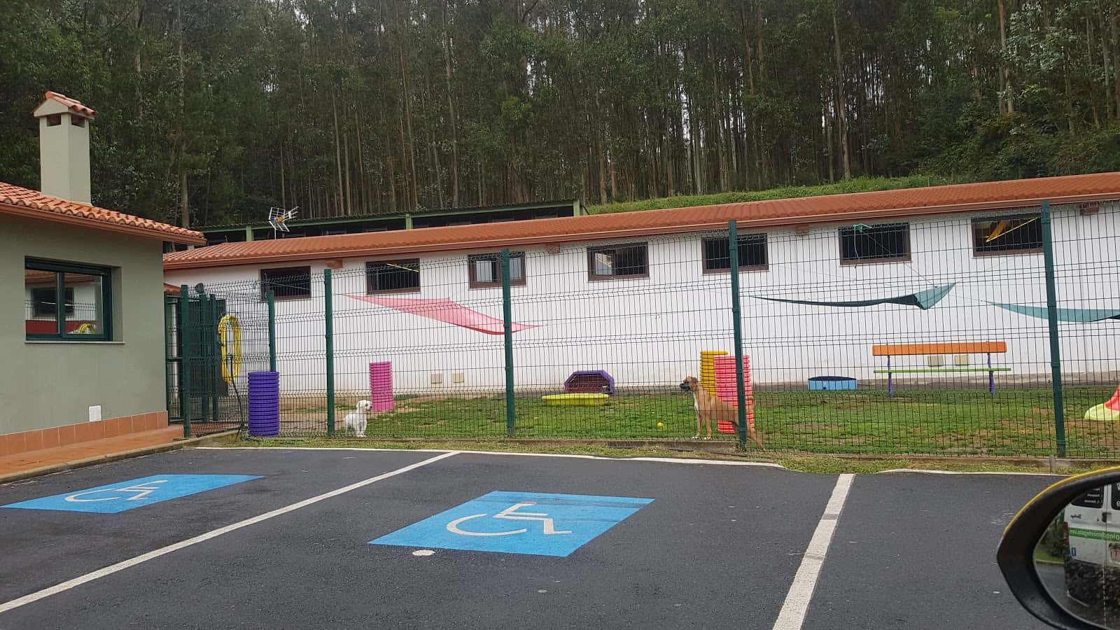 Centro Canino Montegatto