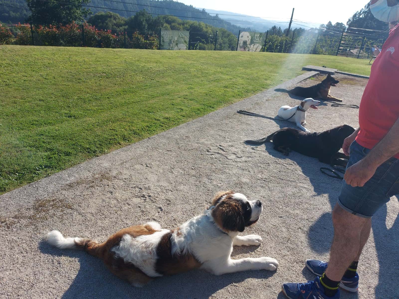 Centro Canino Montegatto