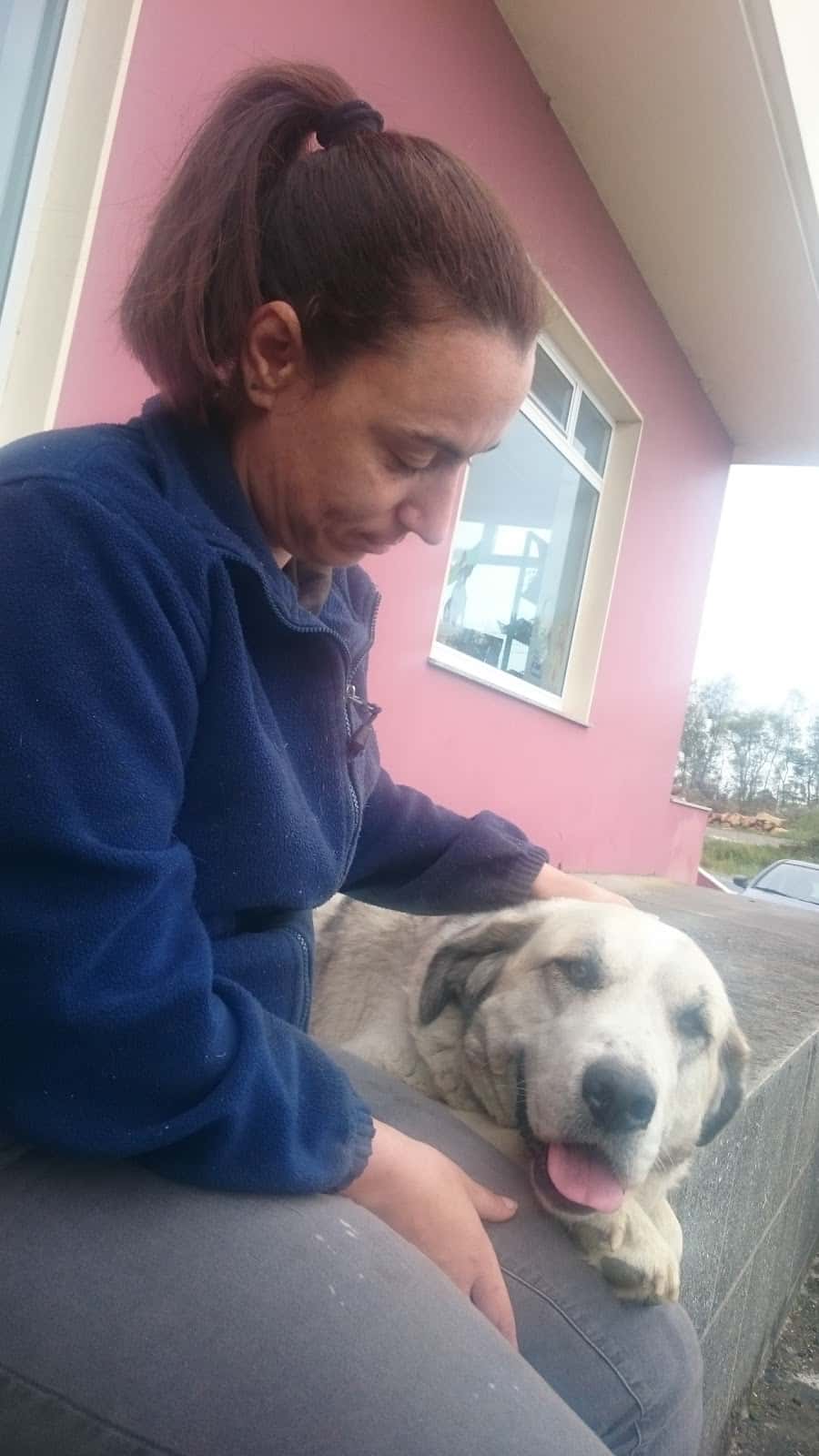 Clinica Veterinaria San Ramon