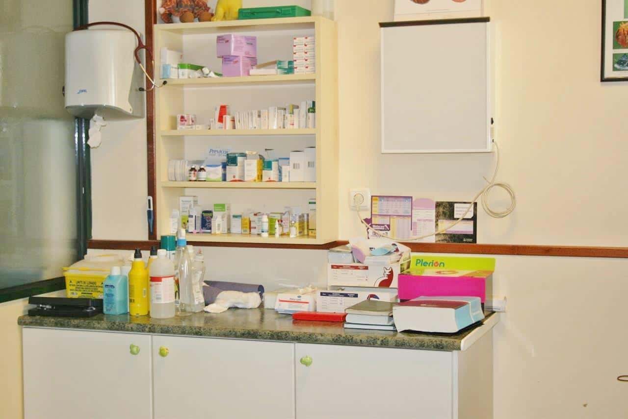 clinica veterinaria naron veterinario clinica en naron en a coruna principalImage ADOPTA Sitios Pet Friendly