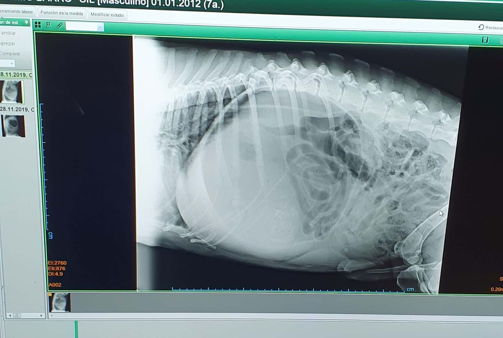 Clínica Veterinaria Garfield