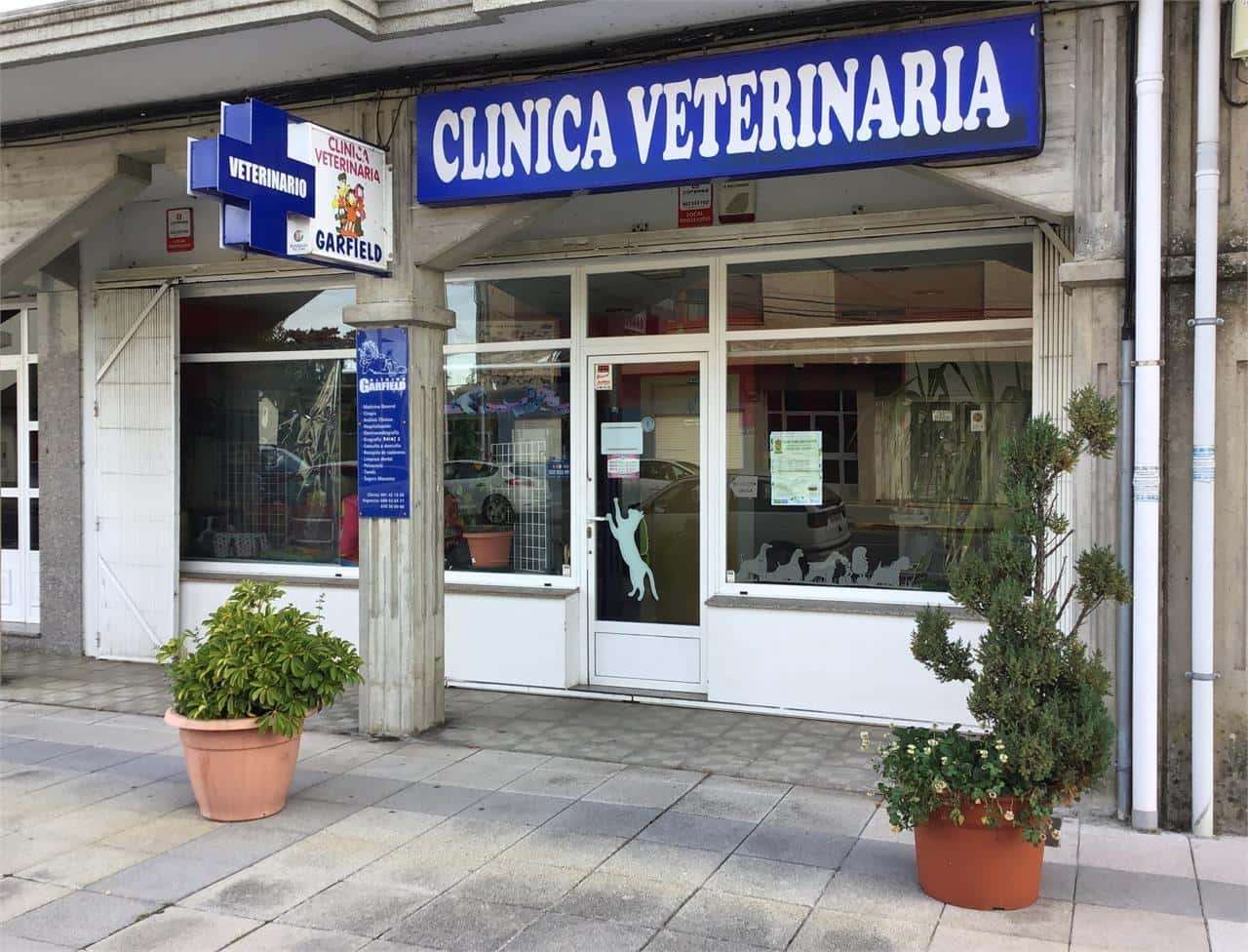clinica veterinaria garfield veterinario clinica en puentes de garcia rodriguez en la coruna principalImage ADOPTA Sitios Pet Friendly
