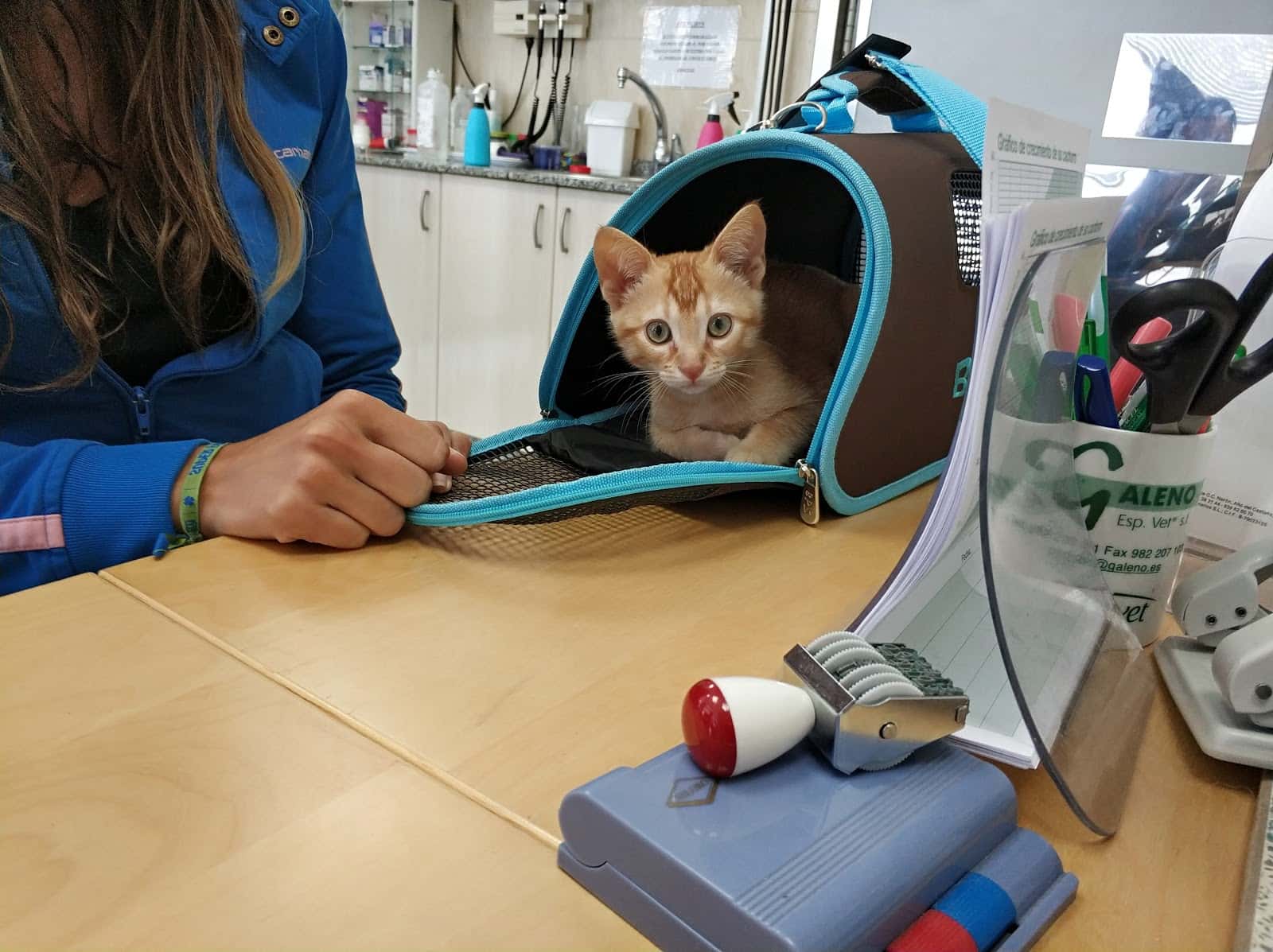 Cristina Veterinarios - Clinica veterinaria en Naron