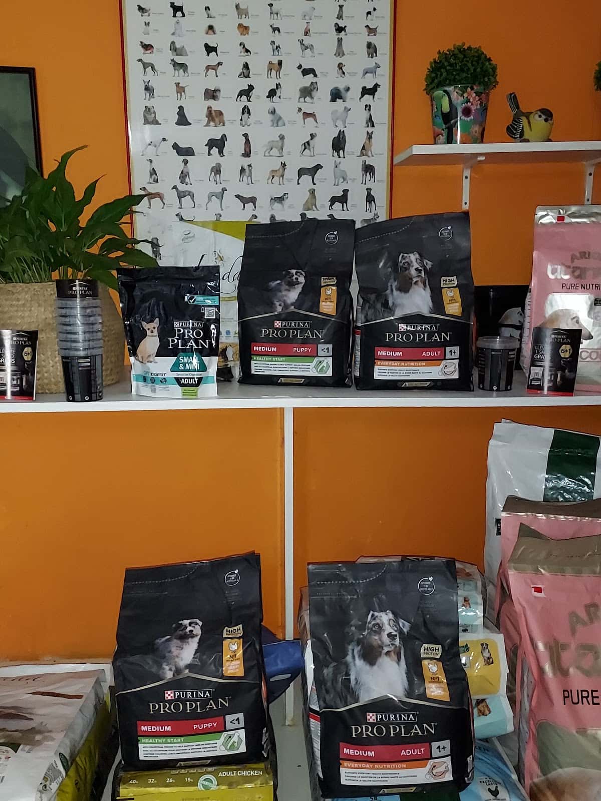 Centro veterinario fauna