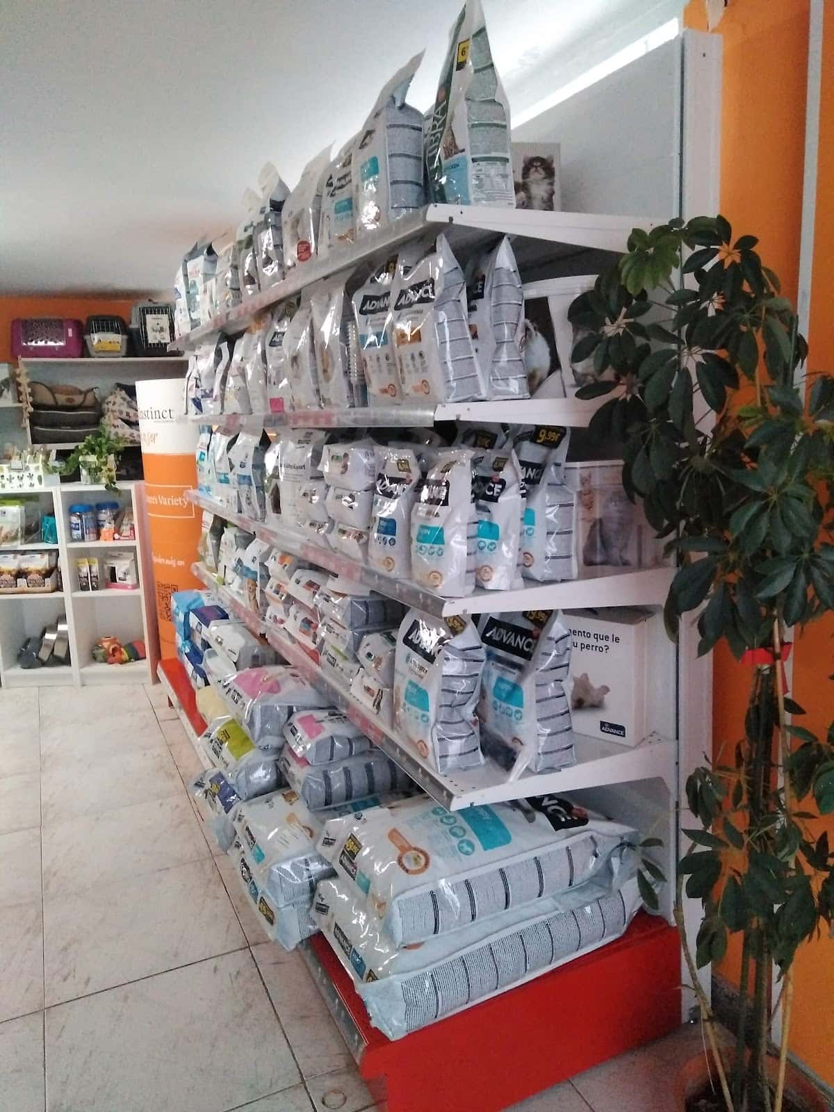 centro veterinario fauna veterinario centro en neda en a coruna principalImage ADOPTA Sitios Pet Friendly