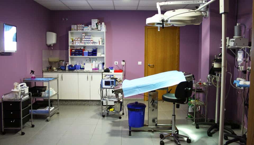 Hospital Veterinario A Media Lúa