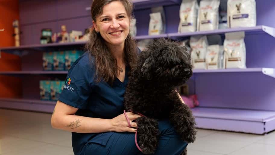 hospital veterinario a media lua veterinario hospital en o milladoiro en a coruna principalImage ADOPTA Sitios Pet Friendly