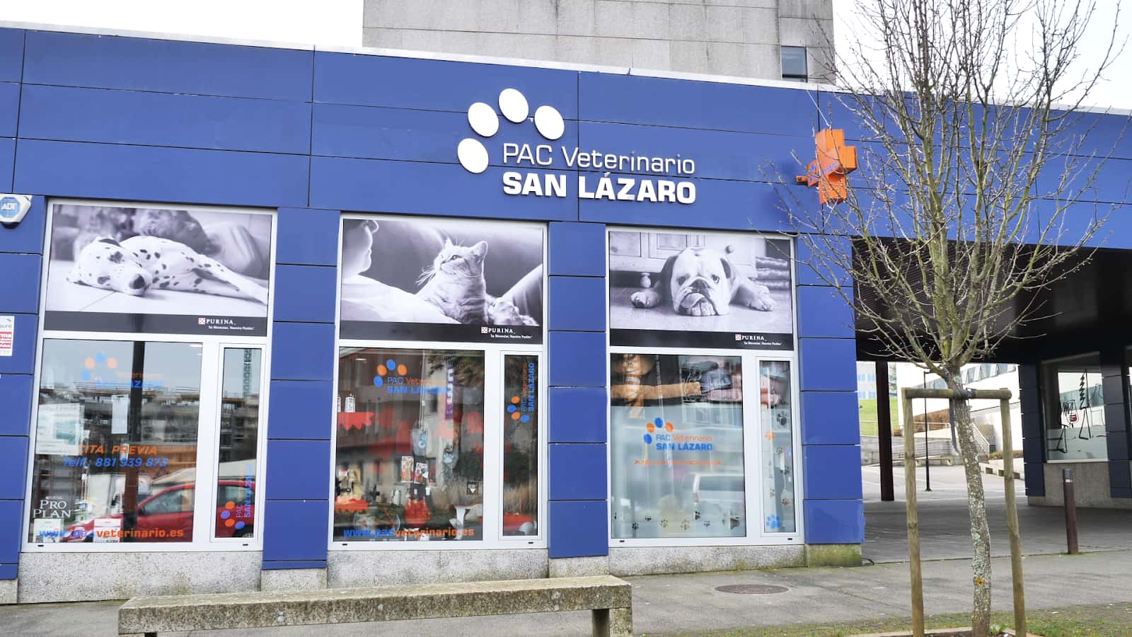 p a c  veterinario san lazaro veterinario centro en santiago de compostela en a coruna principalImage ADOPTA Sitios Pet Friendly