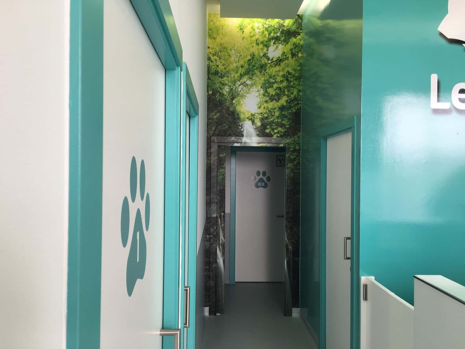 Centro Veterinario Lejarza