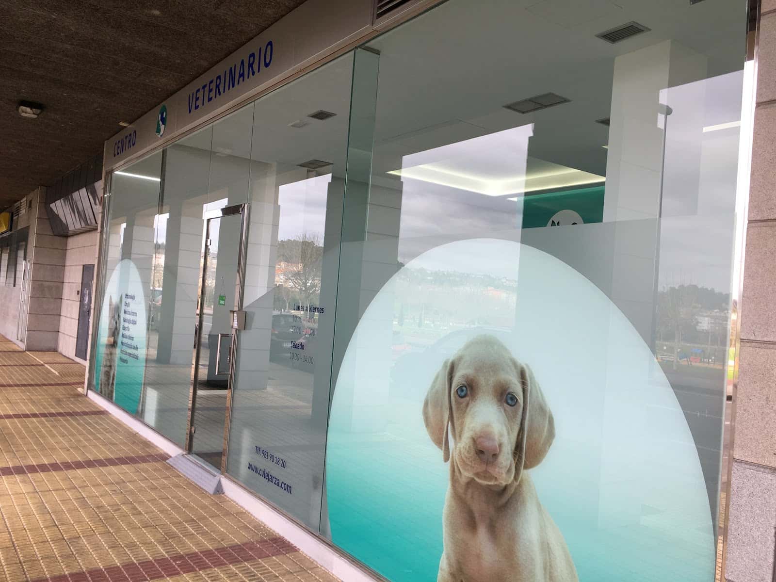 centro veterinario lejarza veterinario centro en culleredo en a coruna photo undefined ADOPTA Sitios Pet Friendly