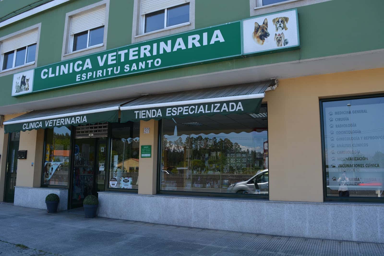 espiritu santo veterinario centro en soneiro en la coruna photo undefined ADOPTA Sitios Pet Friendly