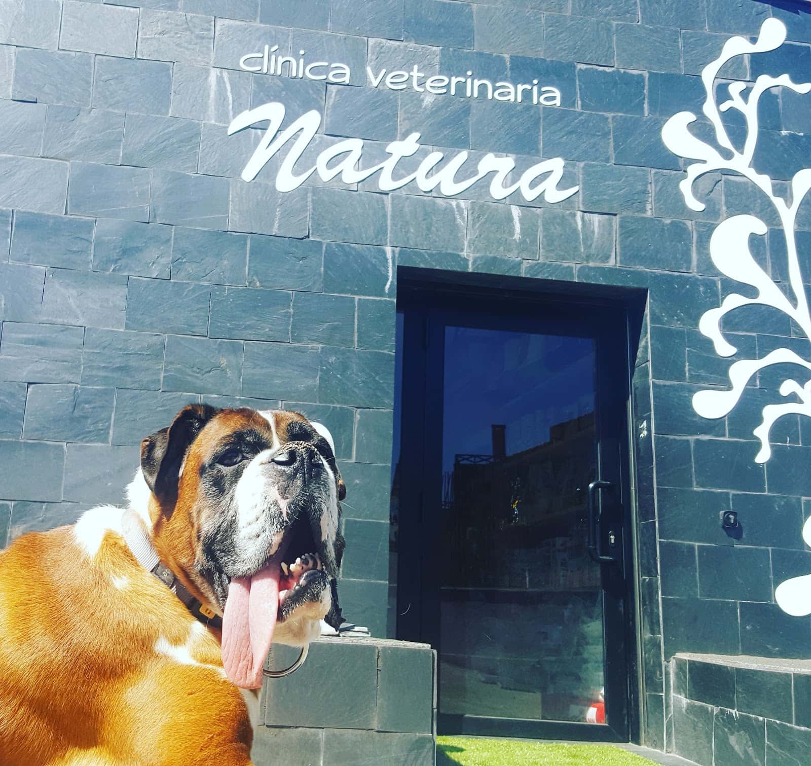 C.V. Natura