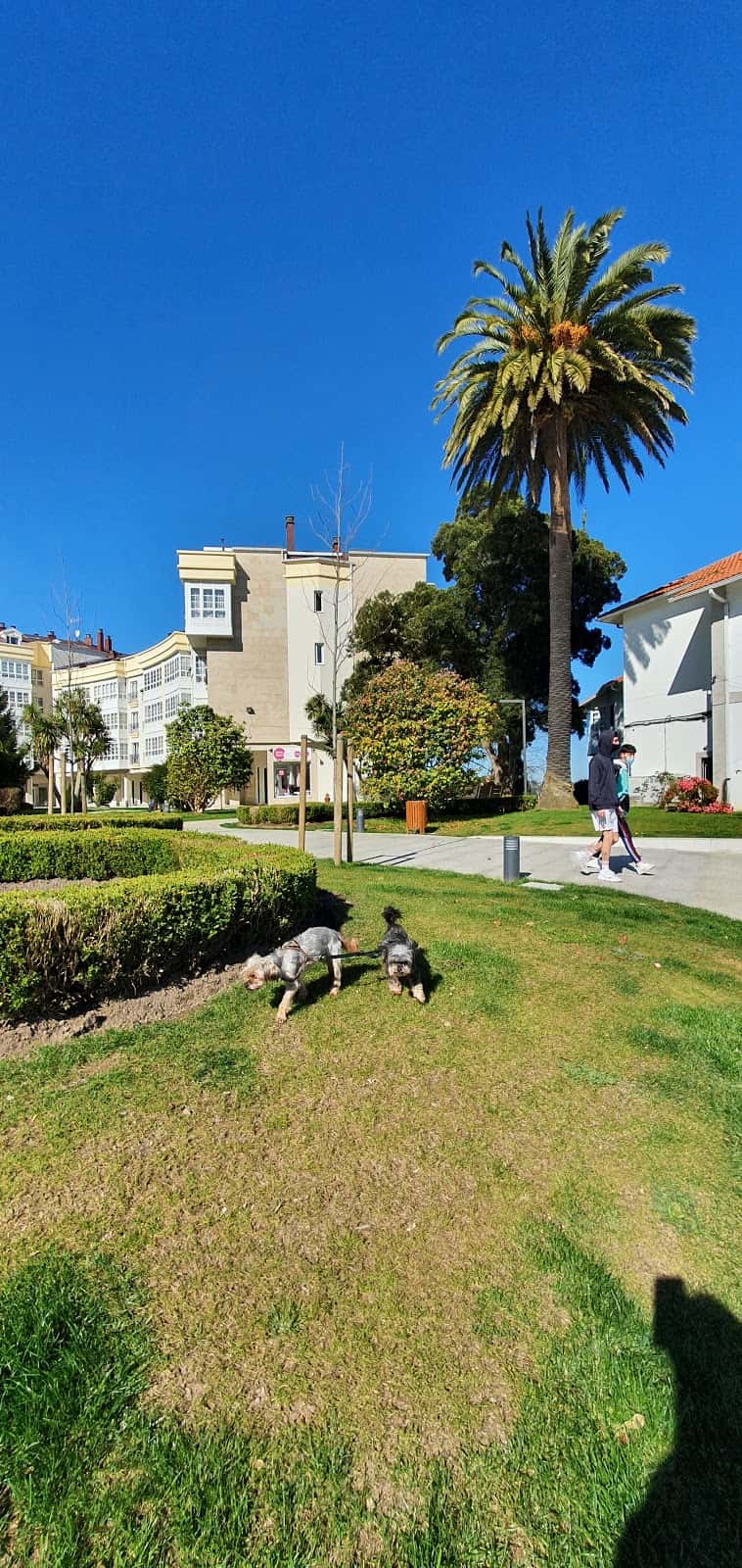 clinica veterinaria cambre veterinario clinica en cambre en a coruna principalImage ADOPTA Sitios Pet Friendly