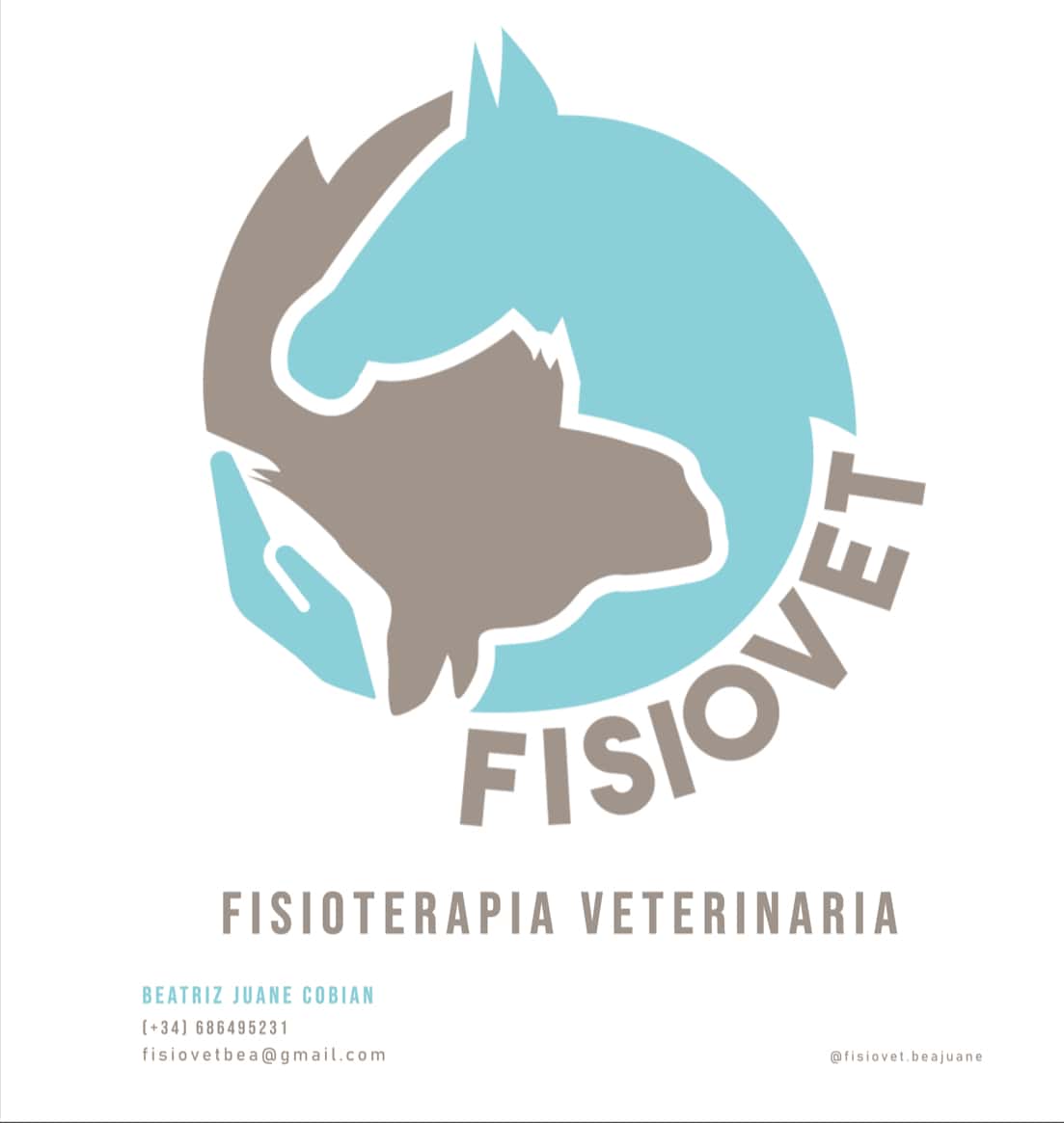 FISIOVET